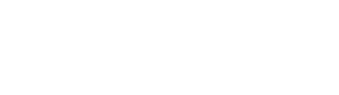 Anv Insurance Logo